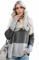 Brown Color Block Netted Texture Pullover Sweater